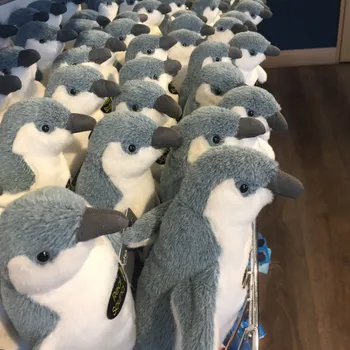 Buy a gift