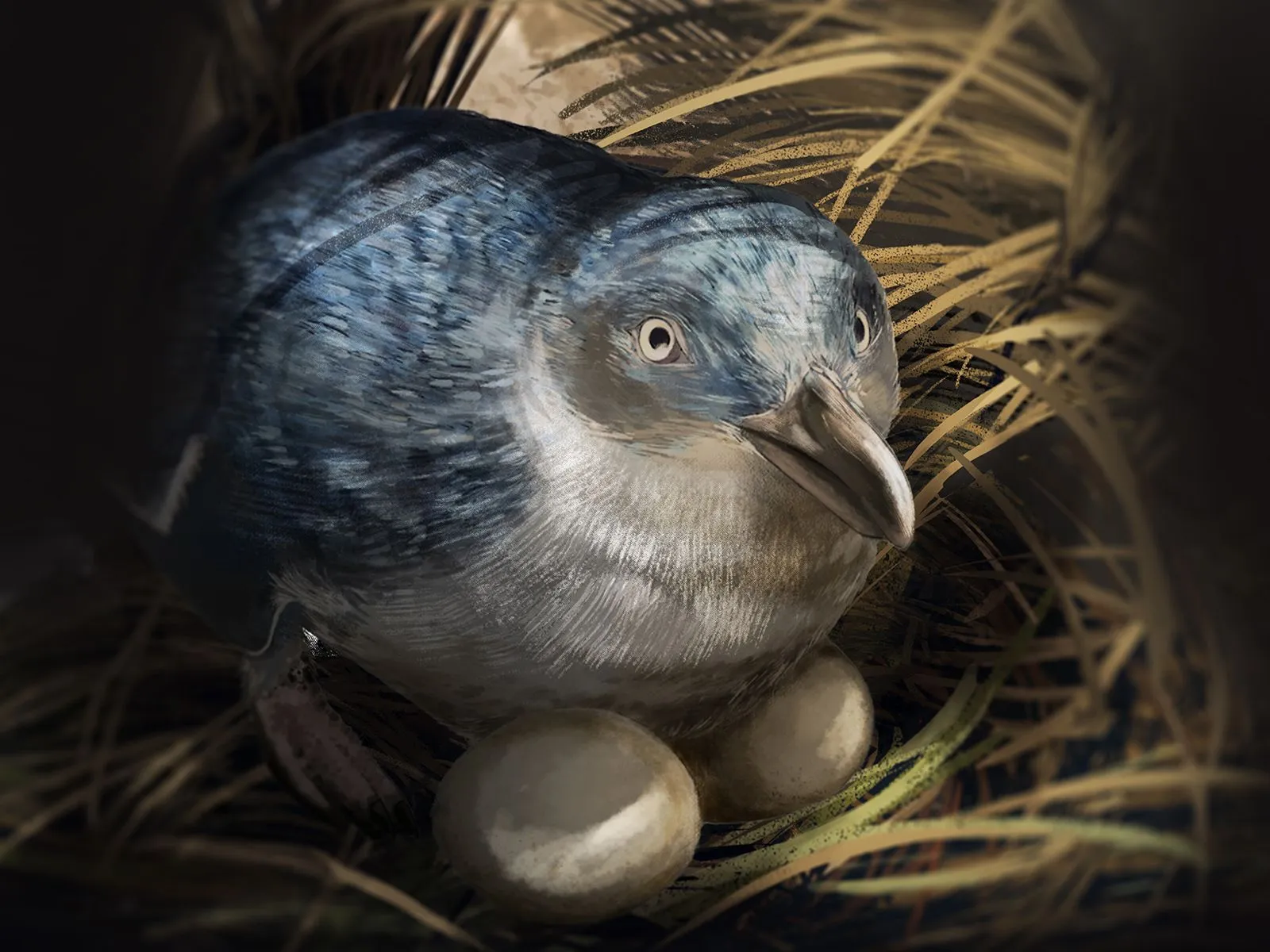 Egg Laying and Incubating