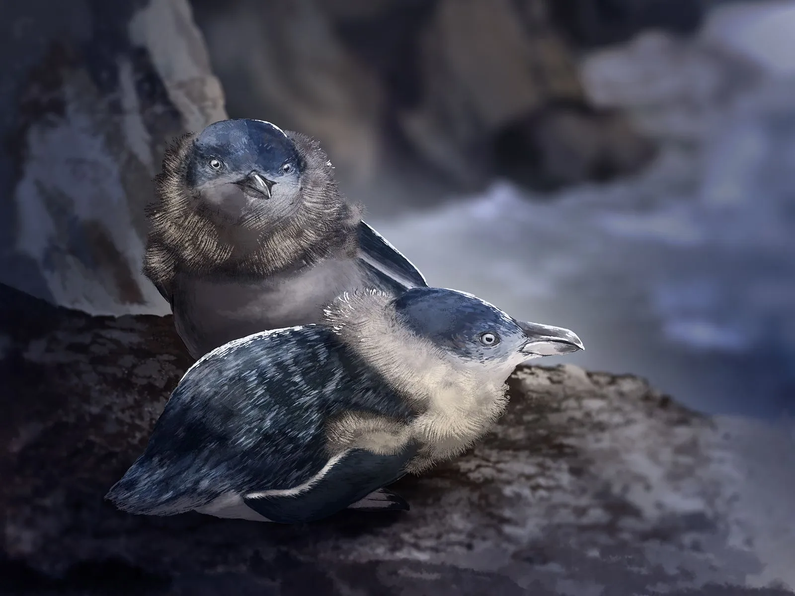 Fledging