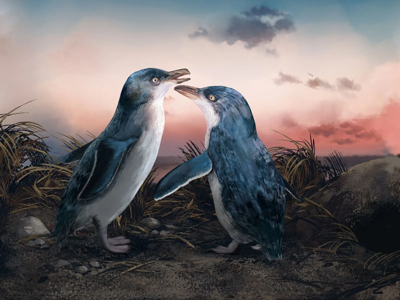 Mating